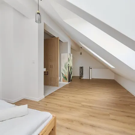 Spacious Family With Free Garage By Renters